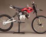 Motoped XR50 - zmotoryzowany rower