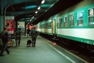 Zmiany PKP podczas szczytu