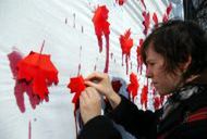 W obronie kanadyjskich fok