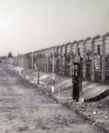 Wspomnienie o Auschwitz