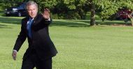 Bush bez Kropki