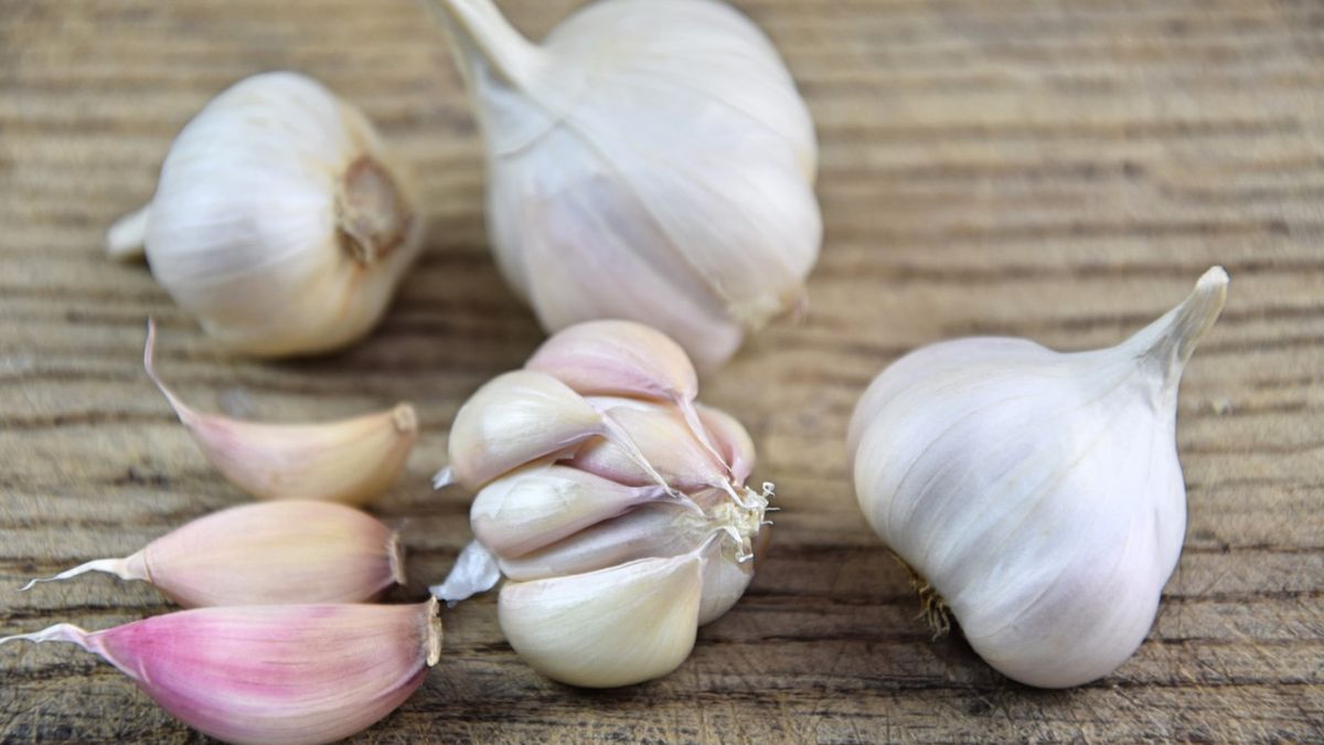 Czosnek wykazuje działanie przeciwzapalne, może więc zapobiegać występowaniu ataków dny moczanowej.