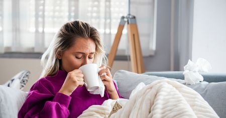 Przeciwciała - rodzaje, rola, badanie przeciwciał