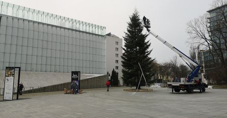 W czwartek będzie można otrzymać choinkę za darmo. Sprawdź szczegóły