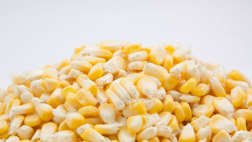 Słodka biała kukurydza w puszce (produkt i płyn)