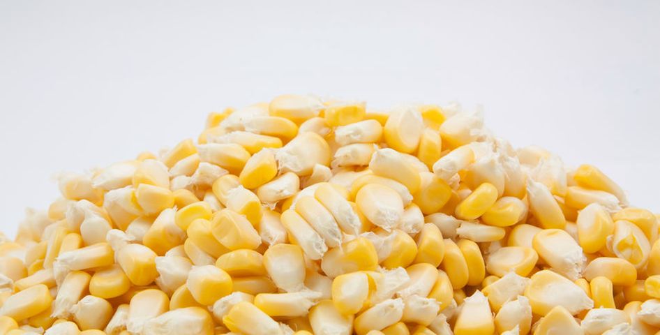 Słodka biała kukurydza w puszce (produkt i płyn)
