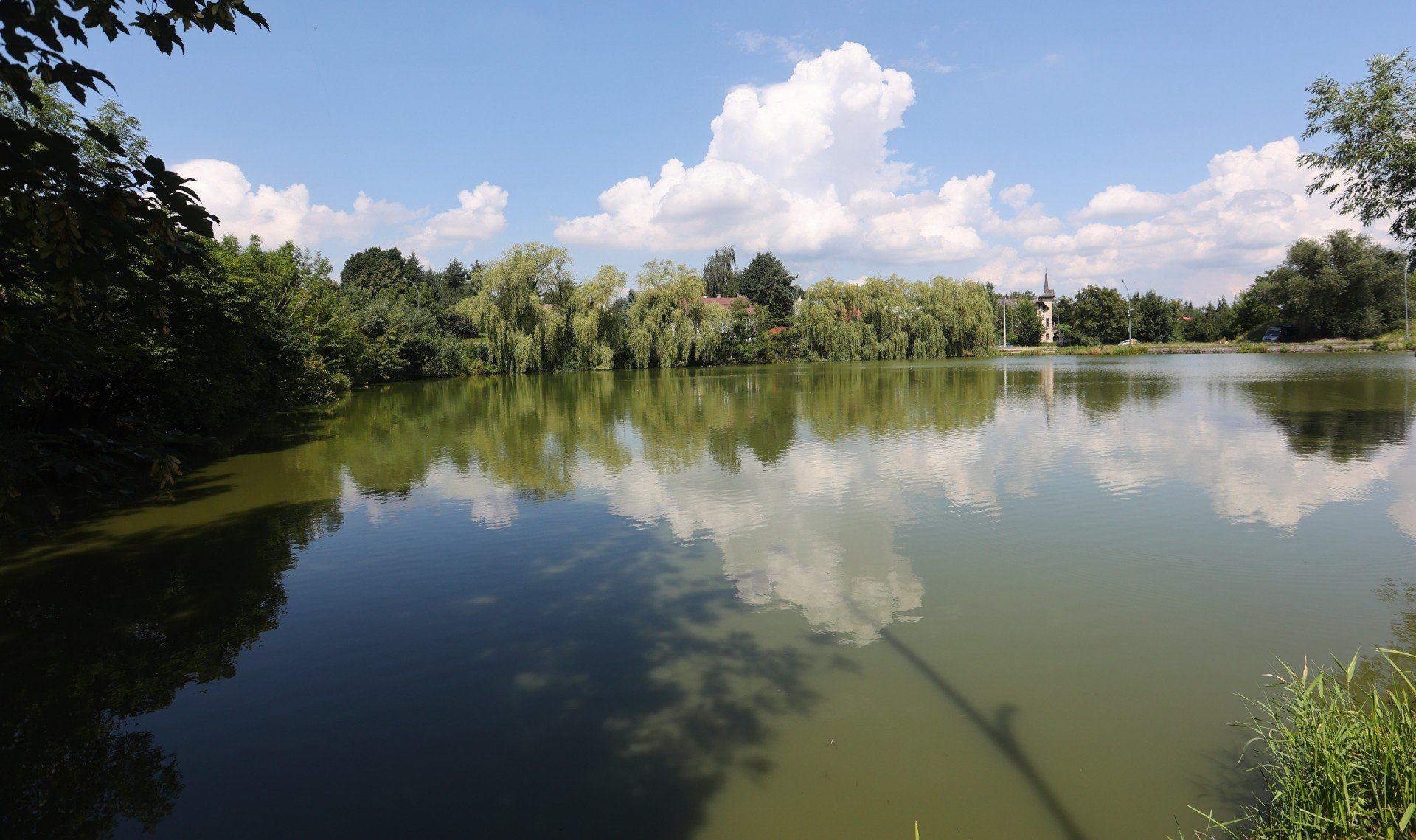 Staw Browarny ma ok. 1 ha powierzchni. Położony jest między ulicami Kraszewskiego i Cetnarskiego.