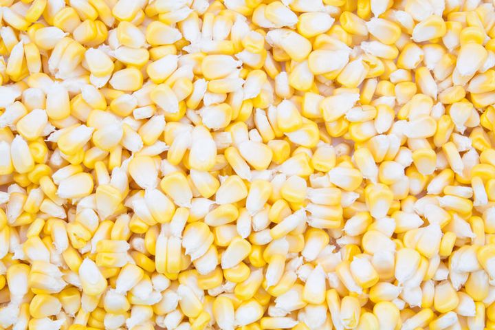 Słodka biała kukurydza w puszce bez dodatku soli (produkt i płyn)