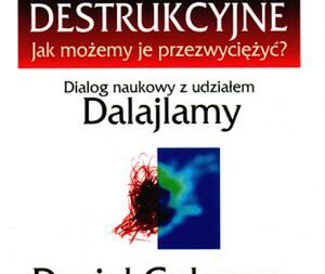 Czy można zakochać się, gdy w szponach trzyma nas polityka?