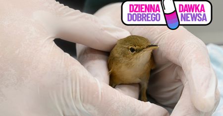 W Warszawie powstał "ptakomat". To pierwszy taki punkt w Polsce