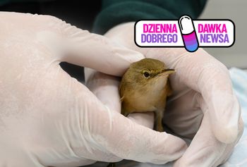 W Warszawie powstał "ptakomat". To pierwszy taki punkt w Polsce