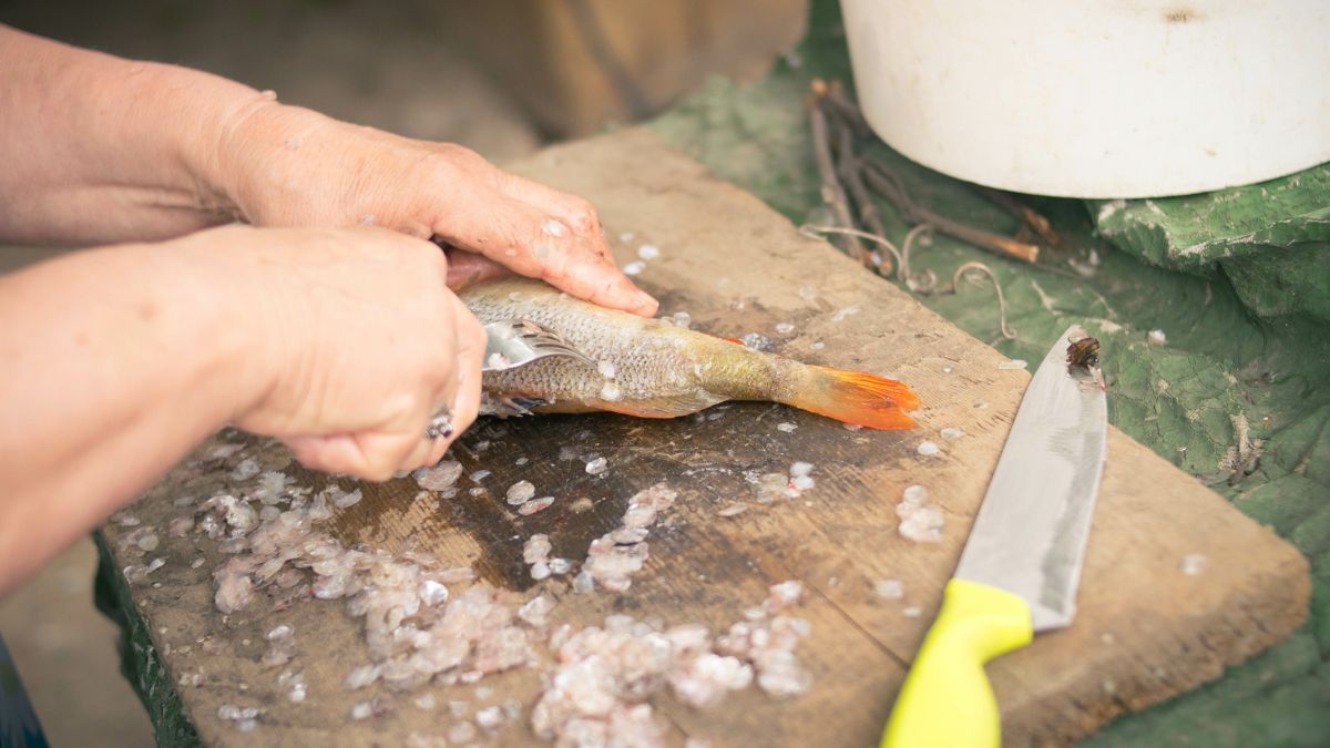 Jak pozbyć się łusek z ryby?
