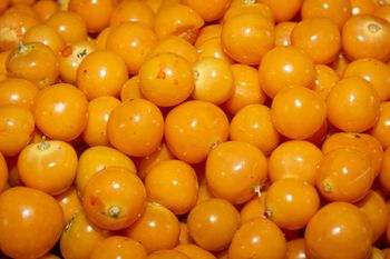 Nazywana złotą jagodą. Obniża poziom glukozy, wspiera pracę pęcherza