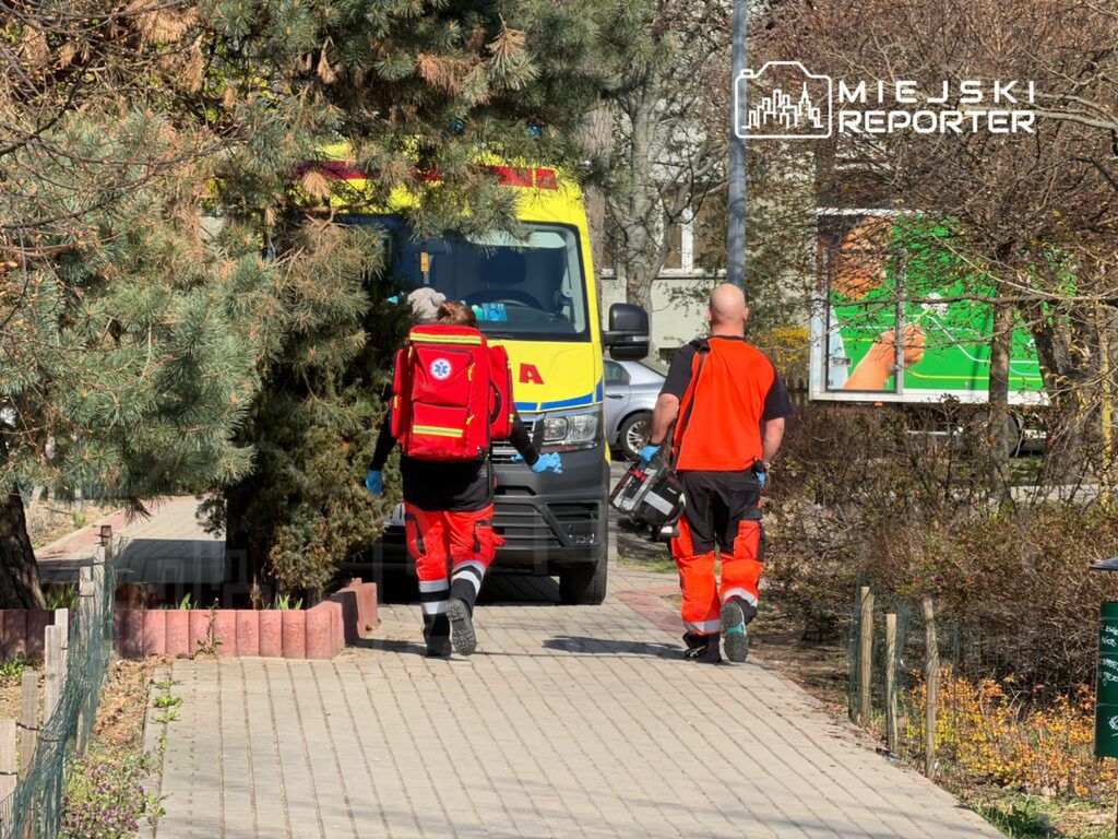 Ratownicy medyczni w odzieży ochronnej idą w kierunku karetki na chodniku otoczonym drzewami.