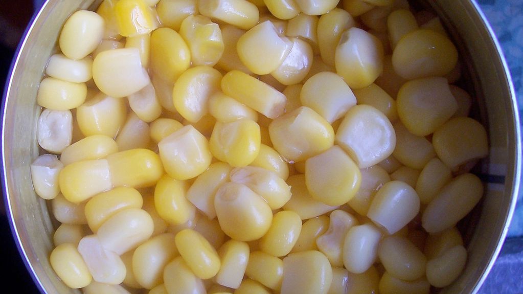 Słodka biała kremowa kukurydza w puszce bez dodatku soli