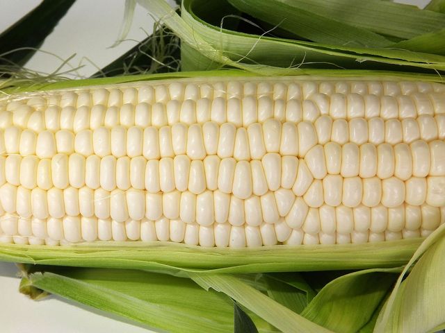 Słodka biała kukurydza pakowana próżniowo bez dodatku soli