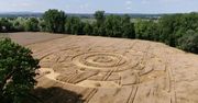 Dziwny krąg na polu pszenicy. Nikt nie wie, jak powstał
