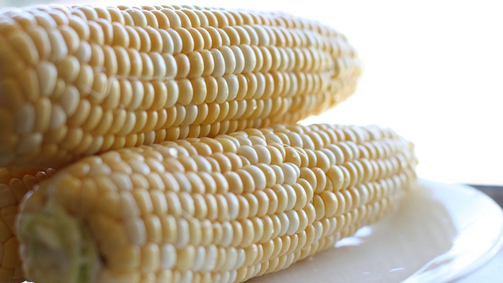 Mrożona słodka biała kukurydza (same nasiona) gotowana bez dodatku soli, odsączona