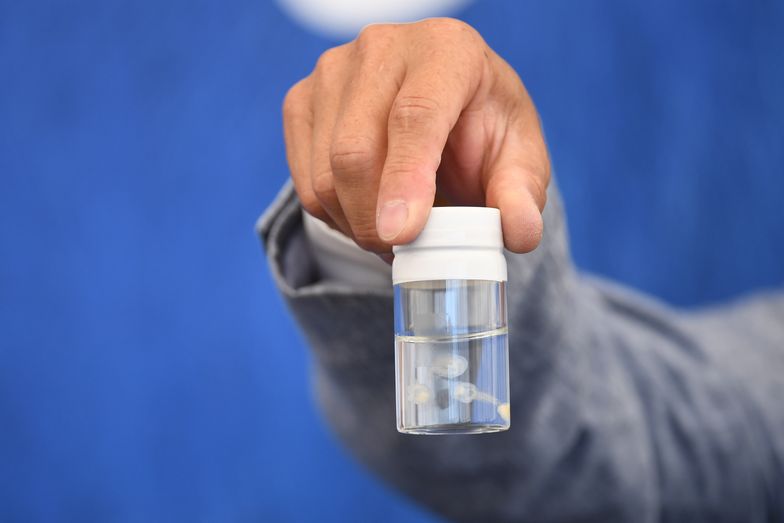 Uczeni rozpracowują kod genetyczny biologicznie nieśmiertelnej meduzy. Potrafi oszukać śmierć
