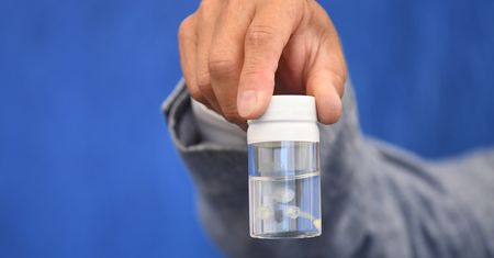 Uczeni rozpracowują kod genetyczny biologicznie nieśmiertelnej meduzy. Potrafi oszukać śmierć