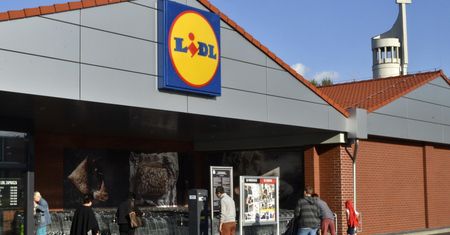 Praca w Lidl: jakie zarobki, jakie warunki, na czym polega?