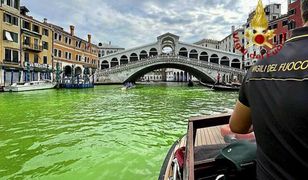 Wenecja pozieleniała. Tajemnicza plama w Canal Grande