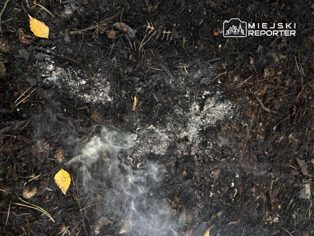 Na ziemi widać popioły oraz dym unoszący się nad czarną, spaloną powierzchnią pokrytą liśćmi.