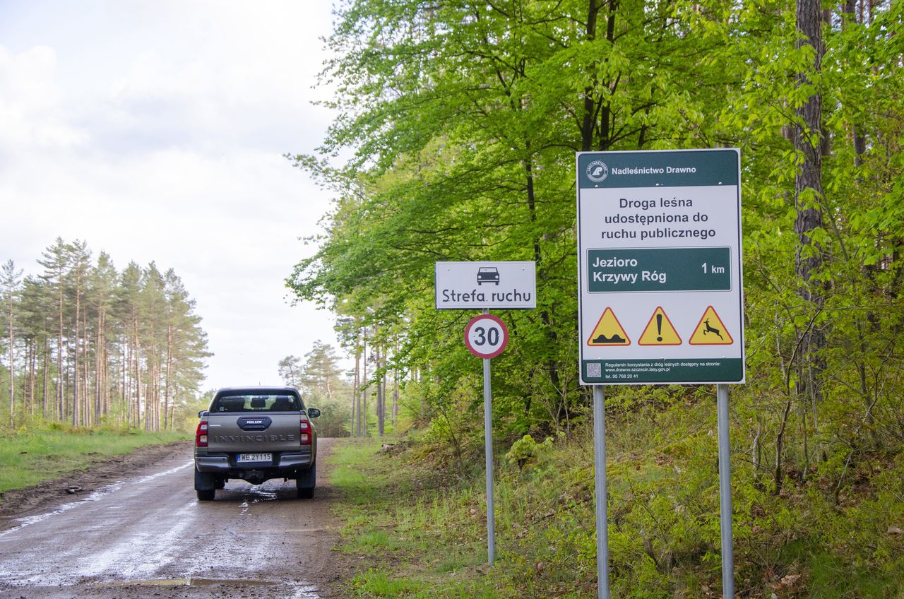 Kara za wjazd do lasu i jej podstawa prawna. Grzywna 500 zł lub 5000 zł