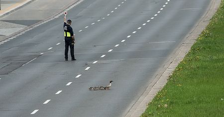 Rozbrajający widok w stolicy. Cała sześciopasmowa trasa musiała stanąć