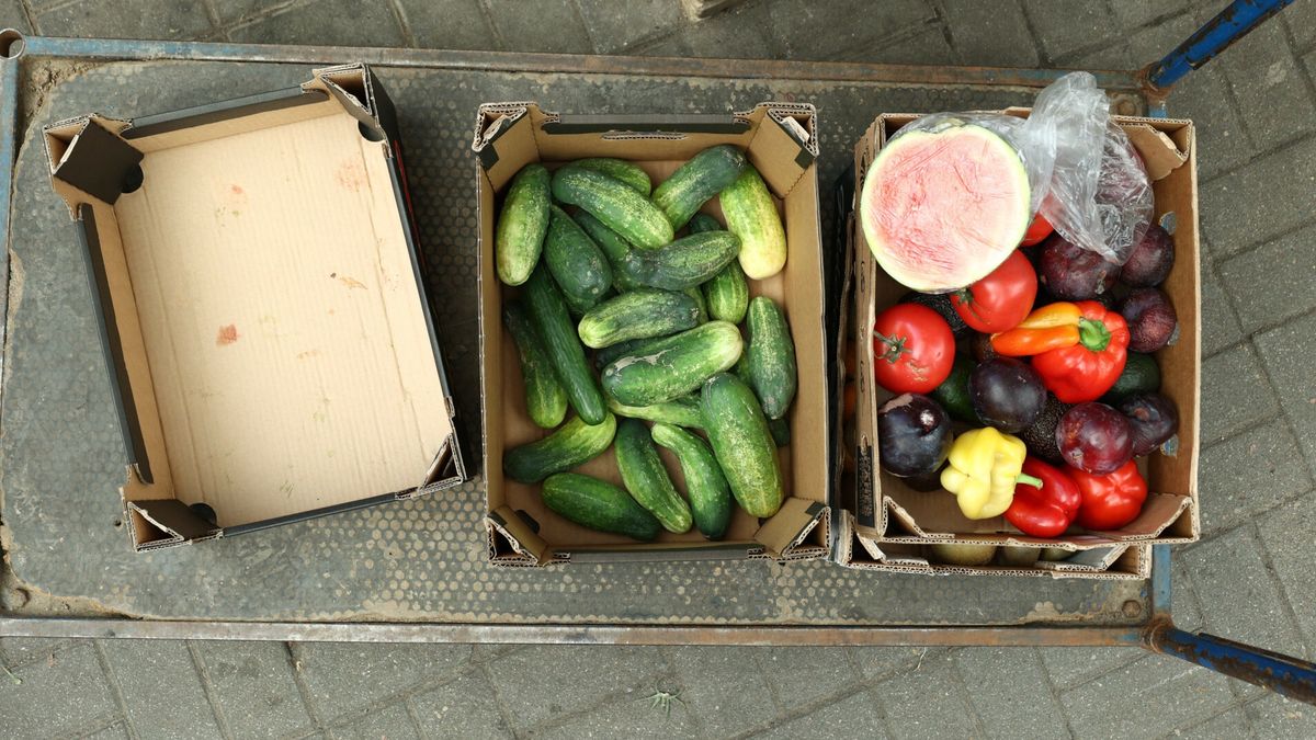 Wzrosną opłaty sklepów za marnowanie żywności, projekt noweli us