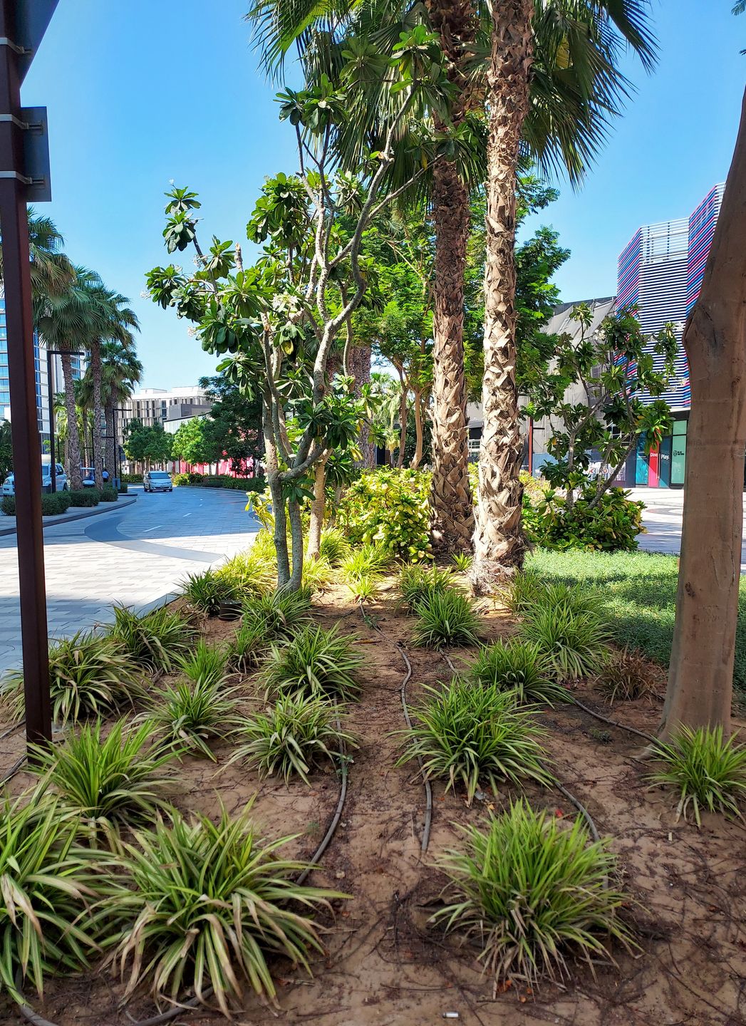 Zielona strona Dubaju