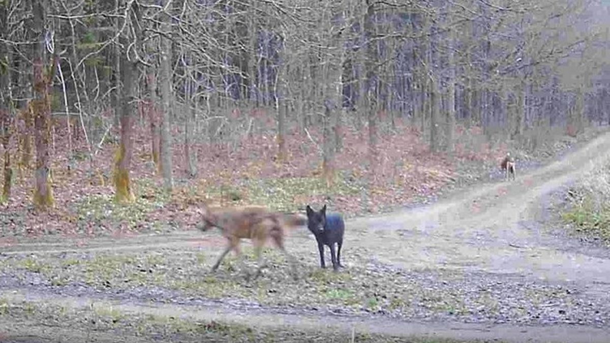Zdjęcie ilustracyjne