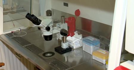 W Łodzi ruszył nabór do kolejnej edycji miejskiego programu dofinansowania zapłodnienia in vitro