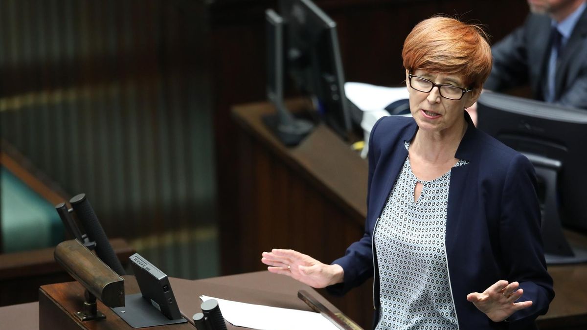 Elżbieta Rafalska, gdy PiS był w opozycji mówiła, że to rządzący ponoszą winę za to, że na korytarzach sejmowych leżą chore dzieci i ich rodzice