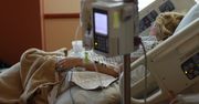 Choroby układu krążenia i nowotwory najczęstszą przyczyną zgonów w I półroczu 2020 r.