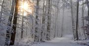 W weekend lokalne opady śniegu, a także mróz w najcieplejszym momencie dnia. Prognoza pogody na najbliższe dni