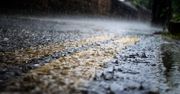 Wraca styczniowa wiosna. Bez szans na śnieg, na termometrach nawet 10 stopni