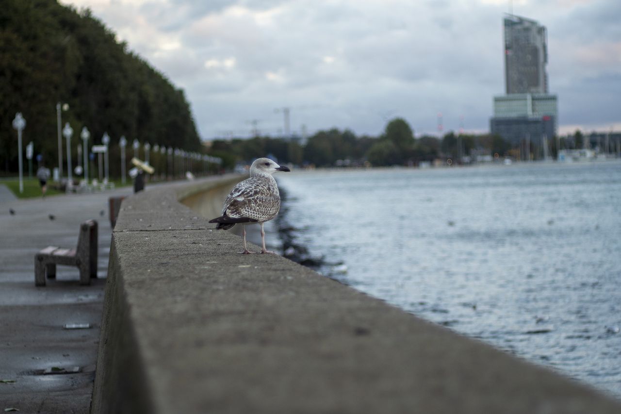 Sobota z umiarkowaną temperaturą i takimi samymi opadami na północy i w centrum
