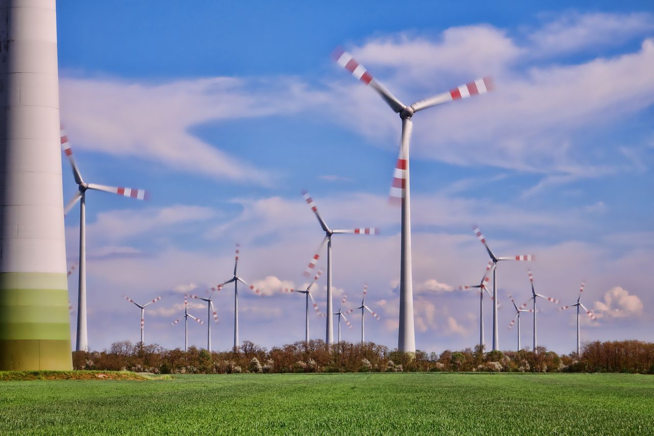 We wrześniu wznowienie konsultacji ws. budowy sieci przesyłowej dla morskich farm wiatrowych na Pomorzu