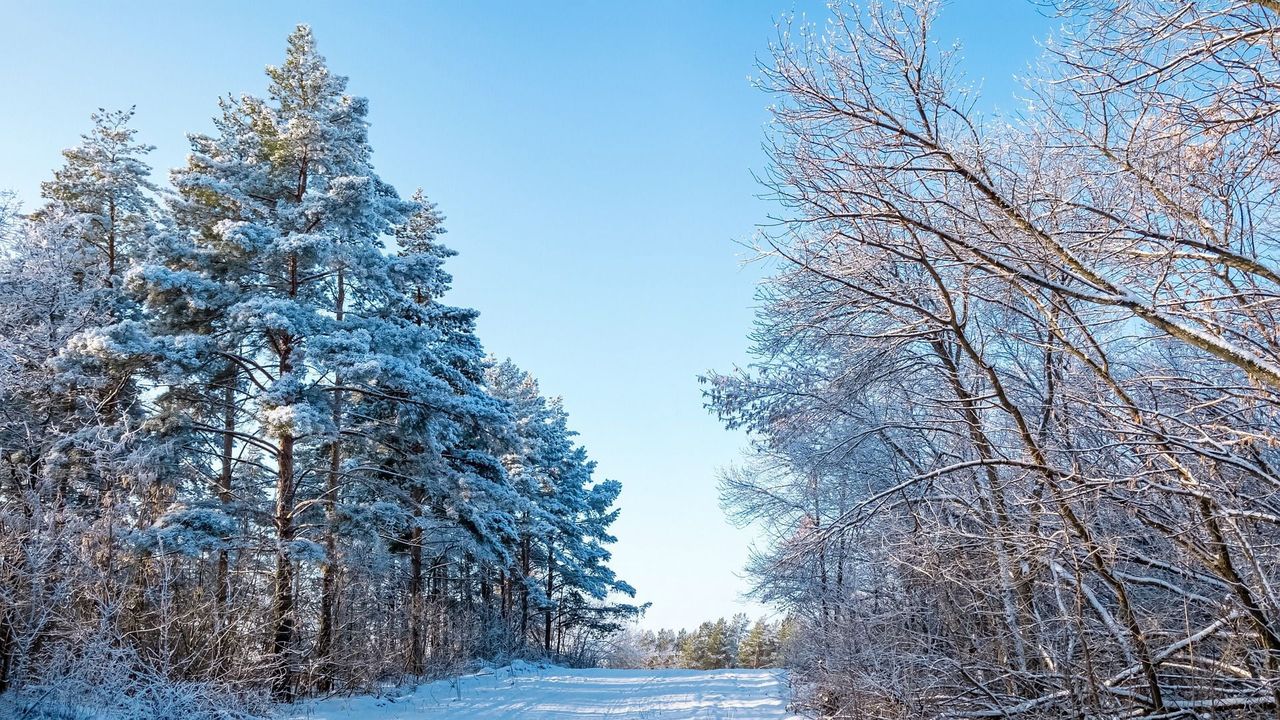 Chłodno i z opadami śniegu. W połowie stycznia znaczne ochłodzenie