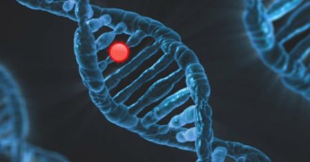 Ekspert: dieta czy używki pozostawiają ślady w DNA