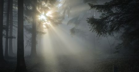Pogoda na Wszystkich Świętych i Zaduszki. Co przyniosą pierwsze dni listopada