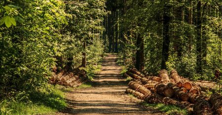 Pogoda na weekend. Wyż zapewni stabilną pogodę