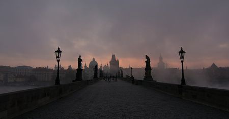 Czesi wyrzucają polską żywność