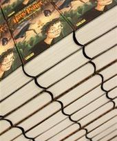 Harry Potter za 30 tysięcy euro