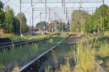 Do grudnia potrwają prace na linii kolejowej Malbork - Elbląg. PKP PLK zapewniają, że nie będzie utrudnień w ruchu pociągów
