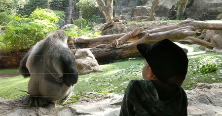 Teneryfa. Odwiedź jedną z największych atrakcji wyspy
