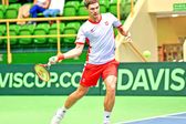 Tenis: Puchar Davisa - mecz: Polska - Korea Południowa