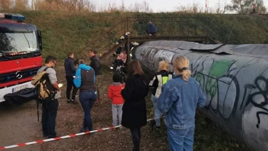 Akcja poszukiwawcza kota