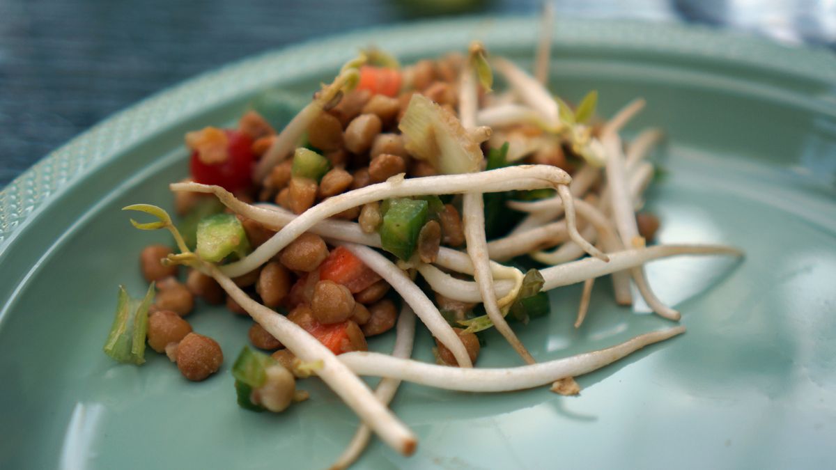 Kiełki soczewicy smażone z dodatkiem soli